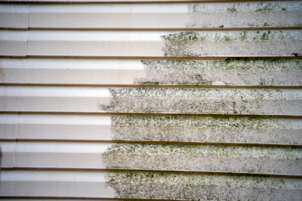 Trusted Ephrata, WA Junk Removal Experts